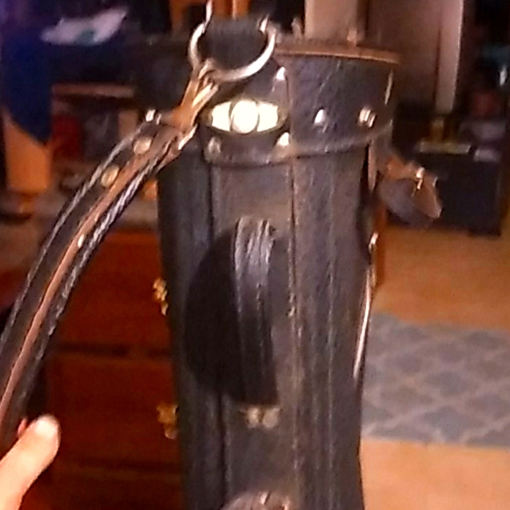 Donlop golf bag